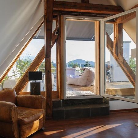 City Penthouse Mit Dachterrasse Friburgo de Brisgovia Exterior foto