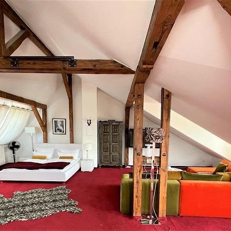 City Penthouse Mit Dachterrasse Friburgo de Brisgovia Exterior foto