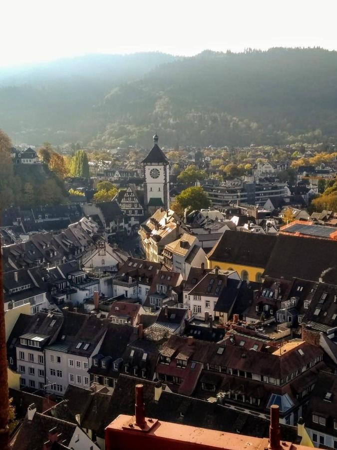 City Penthouse Mit Dachterrasse Friburgo de Brisgovia Exterior foto