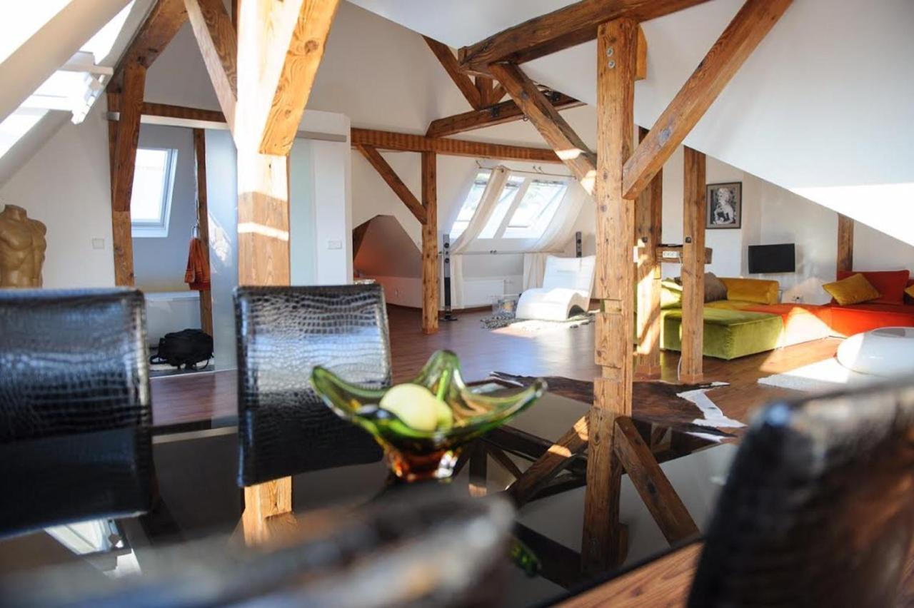 City Penthouse Mit Dachterrasse Friburgo de Brisgovia Exterior foto
