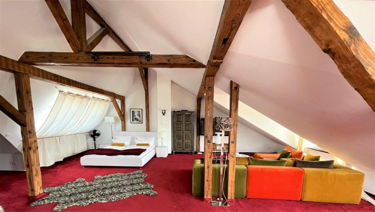 City Penthouse Mit Dachterrasse Friburgo de Brisgovia Exterior foto