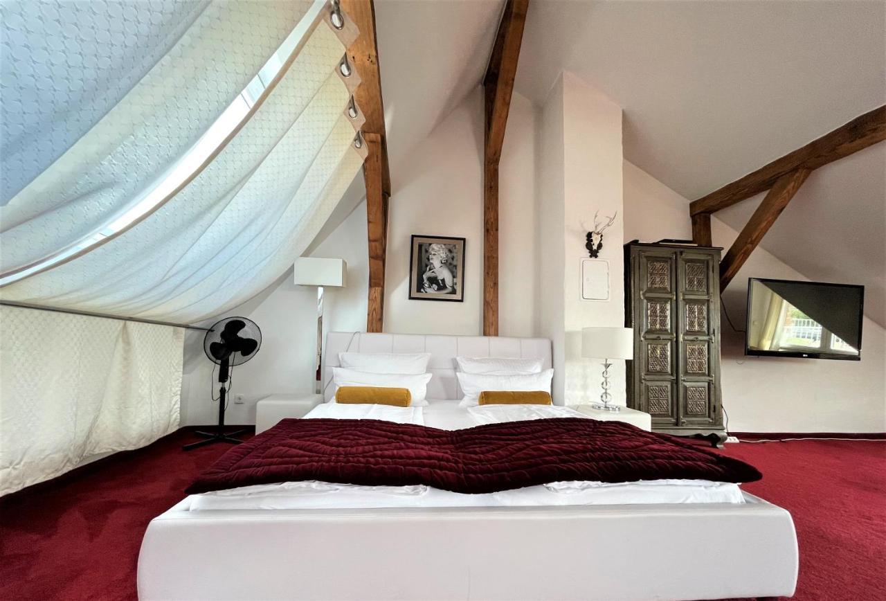 City Penthouse Mit Dachterrasse Friburgo de Brisgovia Exterior foto